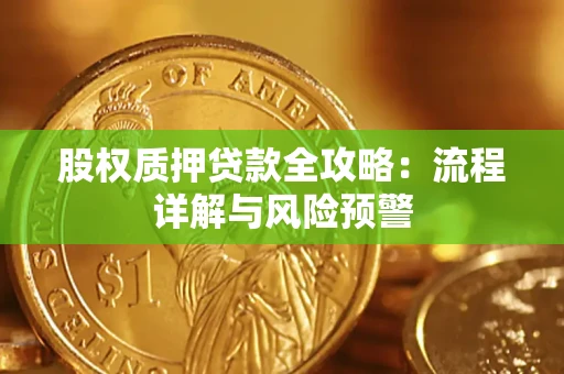 北京股权质押贷款全攻略：流程详解与风险预警
