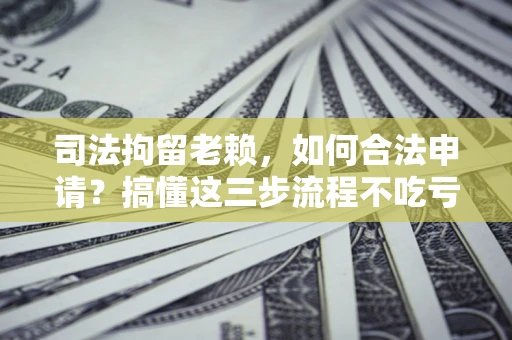 北京司法拘留老赖，如何合法申请？搞懂这三步流程不吃亏！