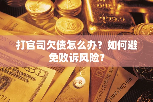 北京打官司欠债怎么办？如何避免败诉风险？