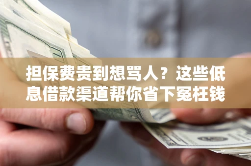 北京担保费贵到想骂人？这些低息借款渠道帮你省下冤枉钱