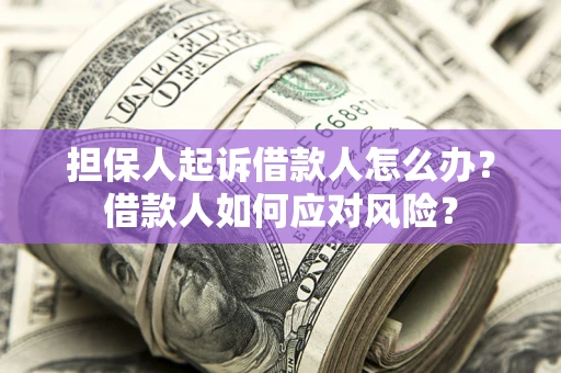 北京担保人起诉借款人怎么办？借款人如何应对风险？