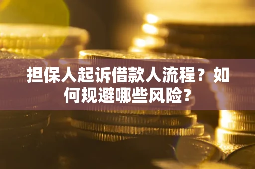 北京担保人起诉借款人流程？如何规避哪些风险？