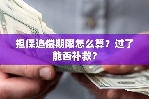 北京担保追偿期限怎么算？过了能否补救？